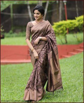 Graceful Copper Zari Weaving Banarasi Silk Saree with Blouse Piece